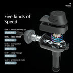 Dr. Fuji Deep Muscle Massage Gun DMS